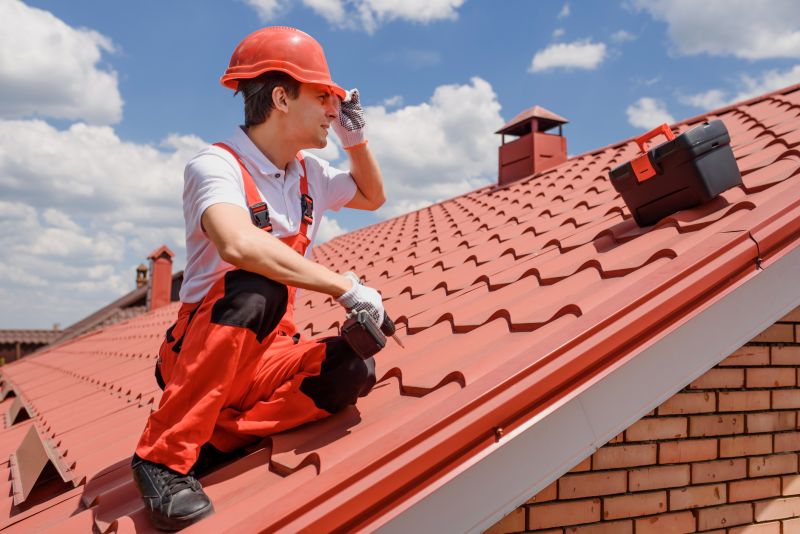 Professional Roofing Team